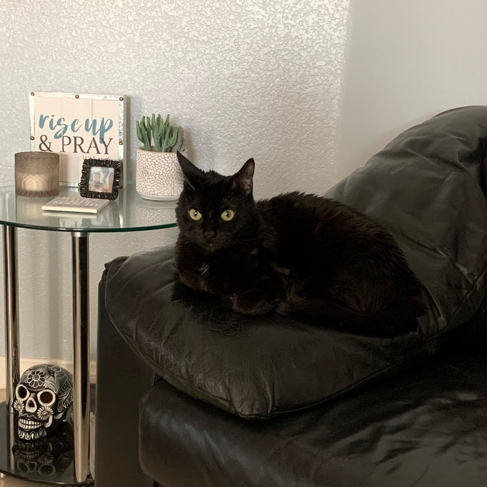 Meet your Posher, Maria